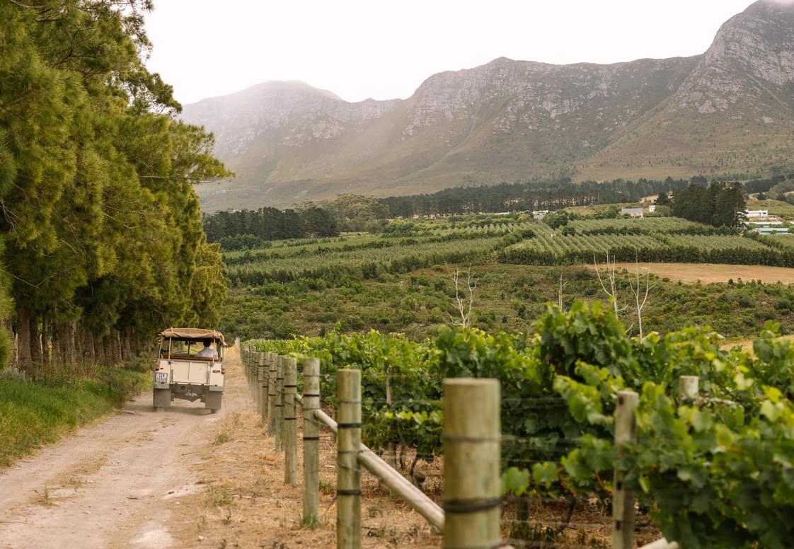 Hasher_Vineyards 1.jpg Hasher_Vineyards 1.jpg