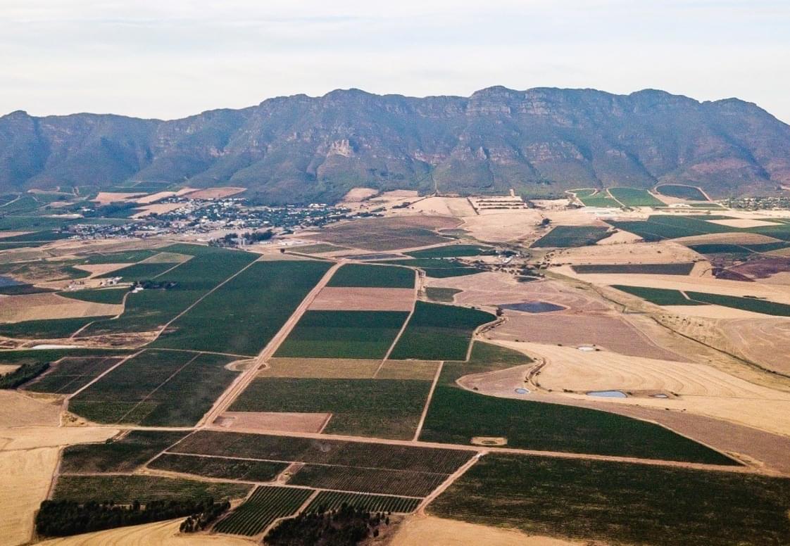 Riebeek-Valley-Wine-Co-16-cropped Riebeek-Valley-Wine-Co-16-cropped
