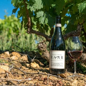 Swartland - domov nejlepšího vína Jižní Afriky Swartland - domov nejlepšího vína Jižní Afriky